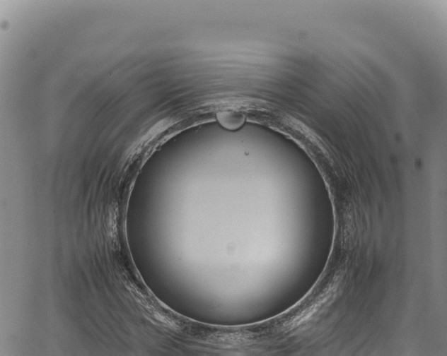 X0000064770778200602131315