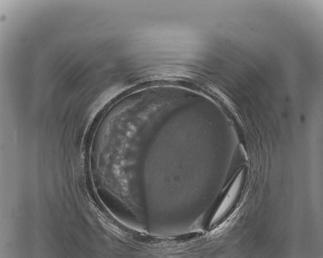 X0000064770779200602131315