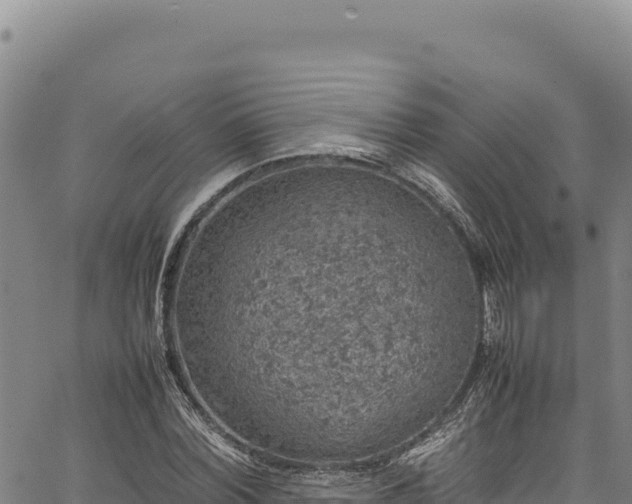 X0000064770780200602131315