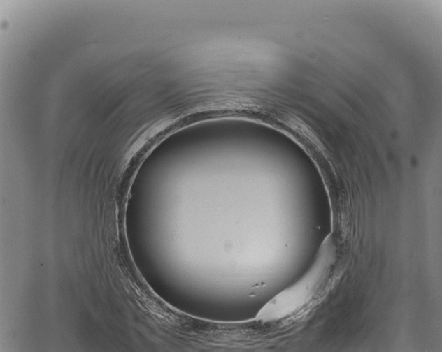 X0000064770781200602131315