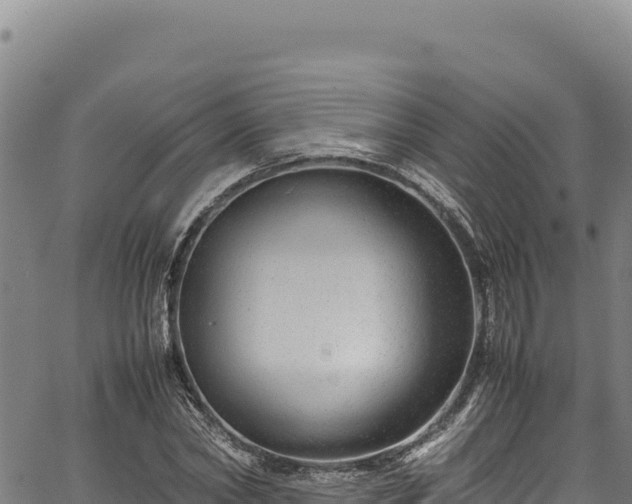 X0000064770782200602131315