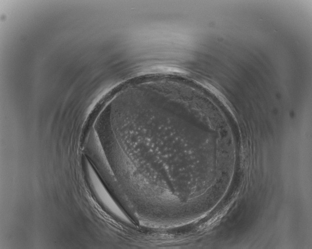 X0000064770783200602131315