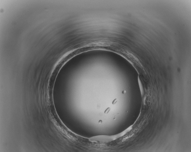 X0000064770784200602131315