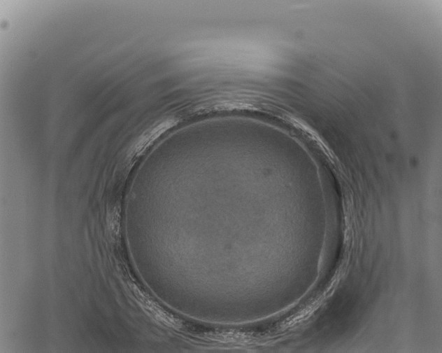 X0000064770785200602131315