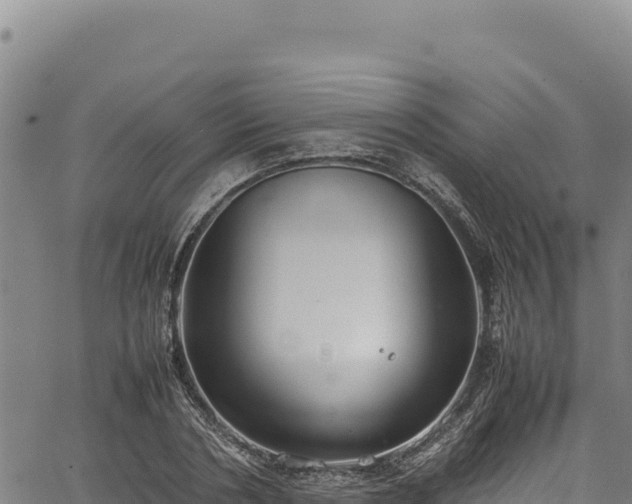 X0000064770786200602131315