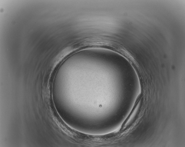 X0000064770787200602131315