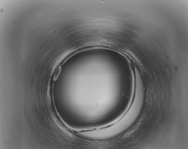 X0000064770788200602131315