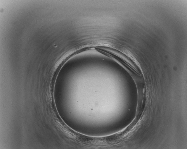 X0000064770789200602131315