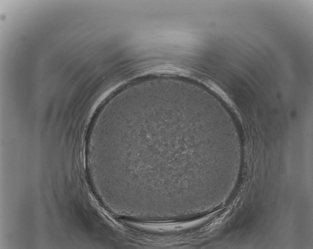 X0000064770791200602131315