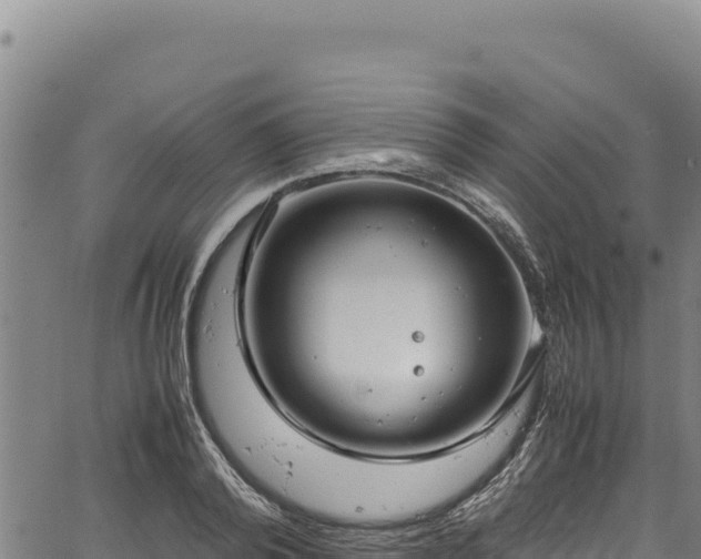 X0000064770792200602131315