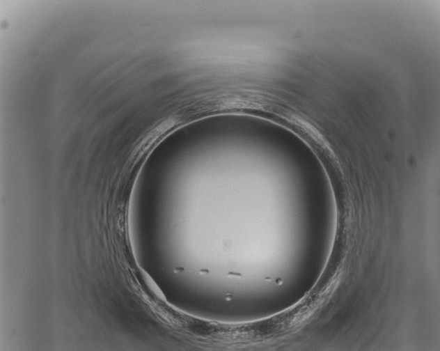 X0000064770793200602131315