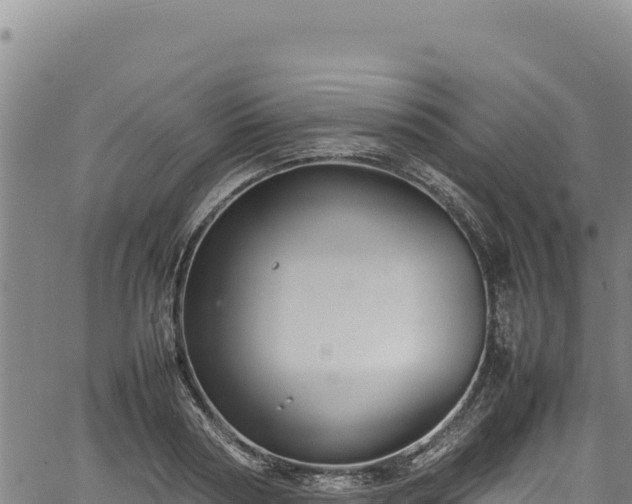 X0000064770794200602131315