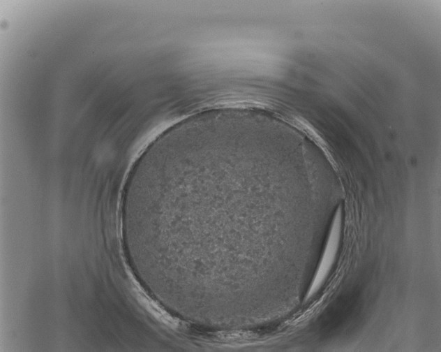 X0000064770795200602131315