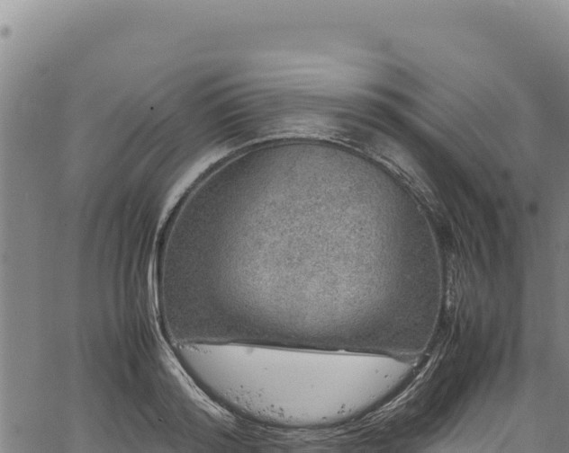 X0000064770796200602131315