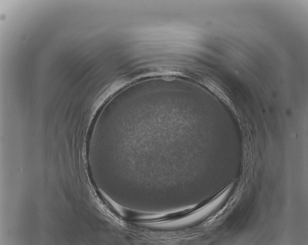 X0000064770797200602131315