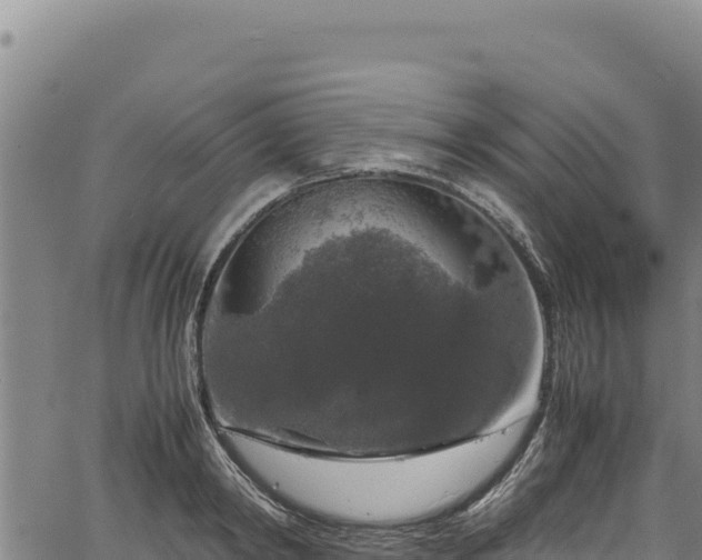 X0000064770798200602131315