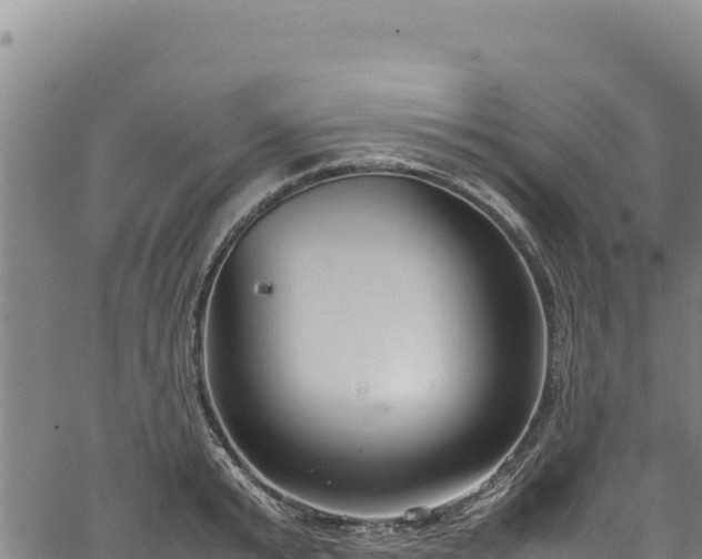 X0000064770799200602131315