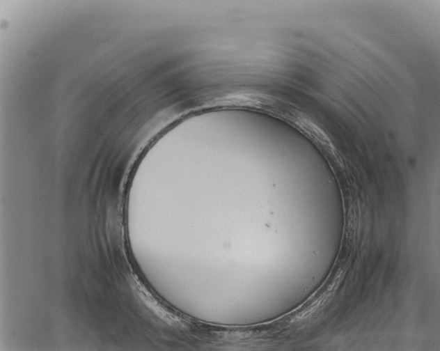 X0000064770800200602131315