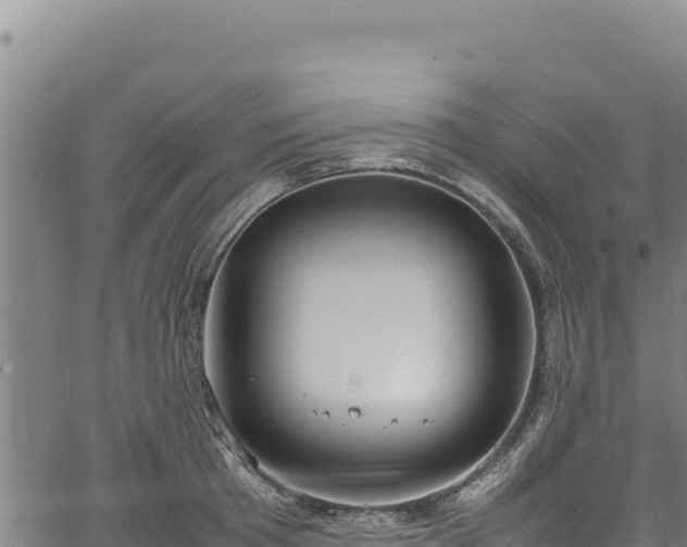 X0000064770801200602131315