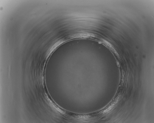 X0000064770802200602131315