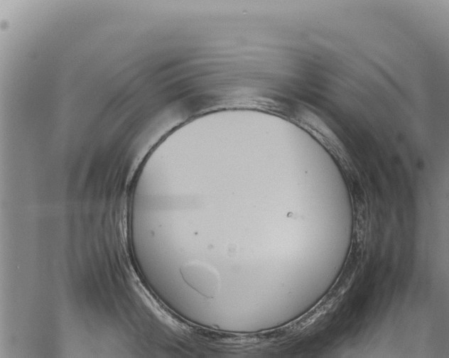 X0000064770804200602131315