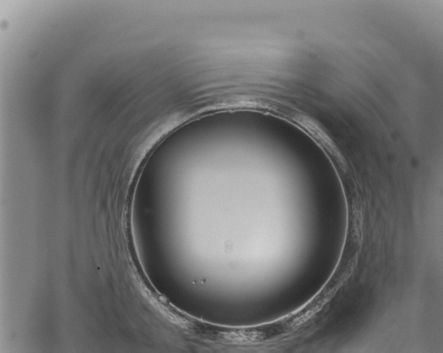 X0000064770805200602131315