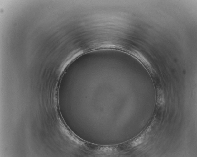 X0000064770806200602131315