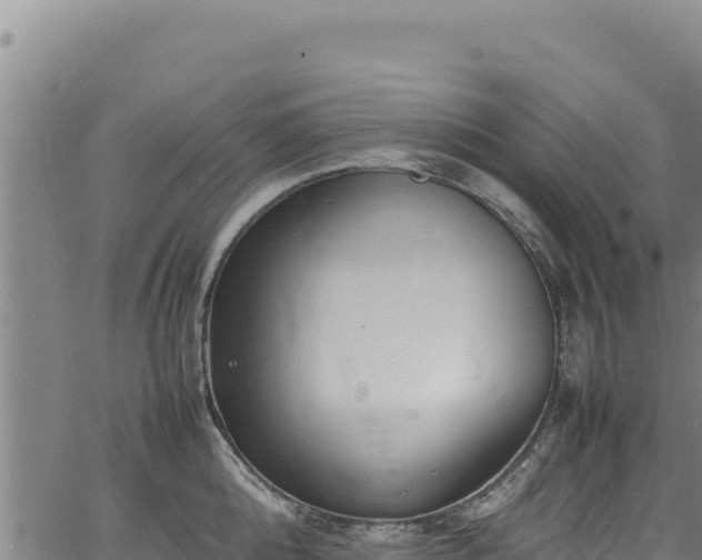 X0000064770808200602131315