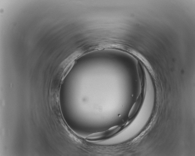 X0000064770809200602131315