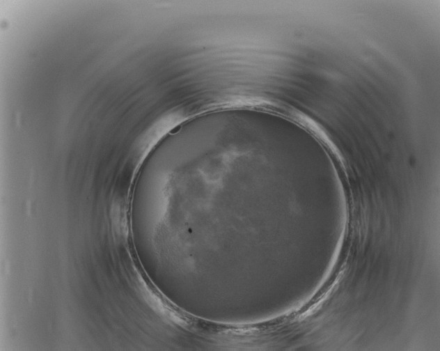 X0000064770810200602131315