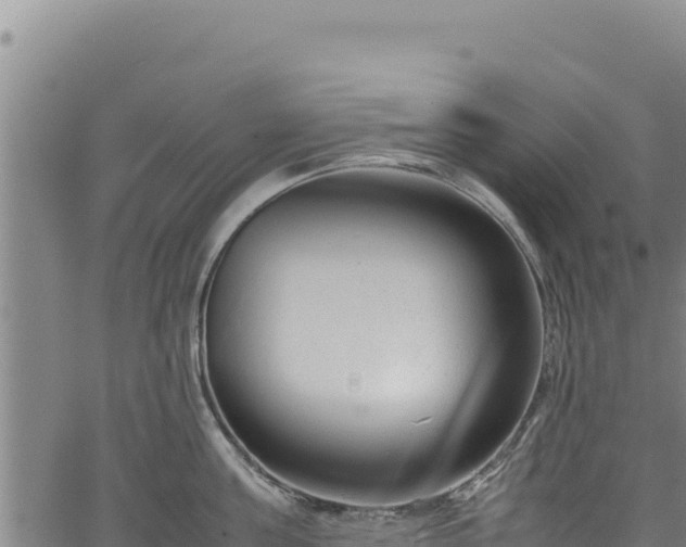 X0000064770811200602131315