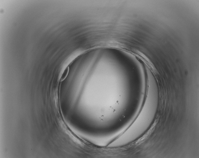 X0000064770812200602131315