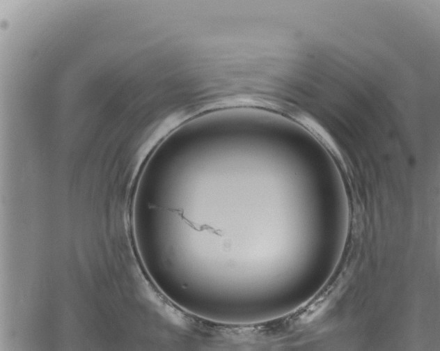 X0000064770813200602131315