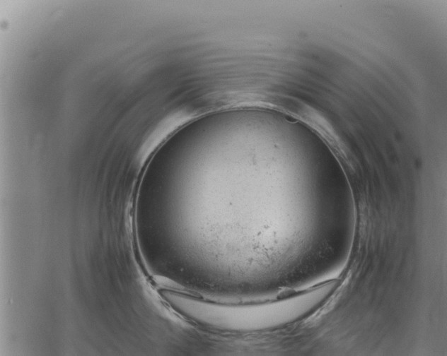 X0000064770814200602131315