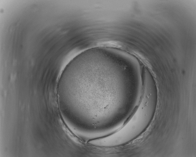 X0000064770816200602131315