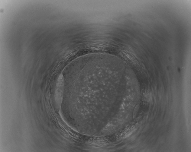 X0000064770817200602131314