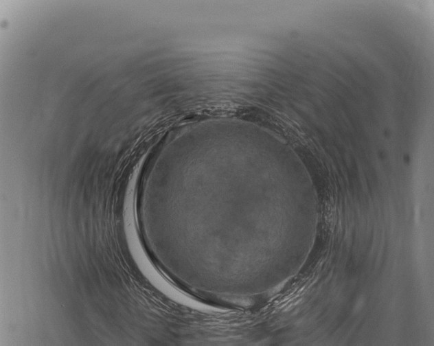 X0000064770818200602131314