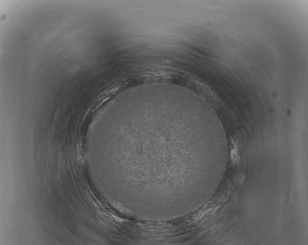 X0000064770819200602131314