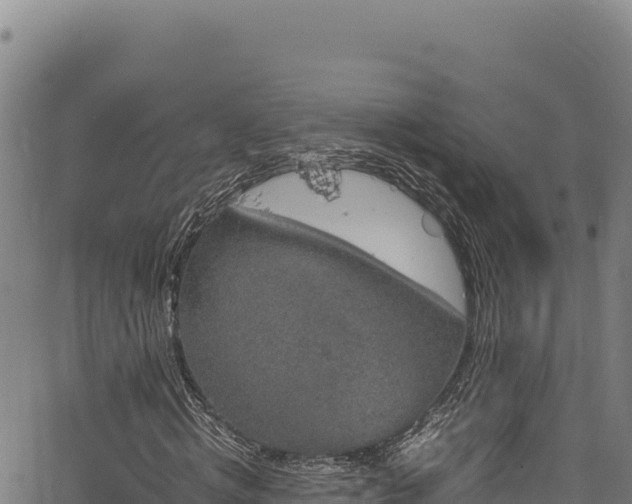 X0000064770820200602131314