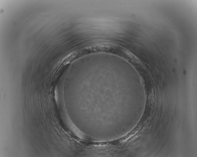 X0000064770822200602131314