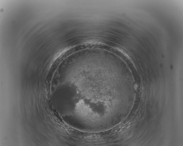 X0000064770823200602131314