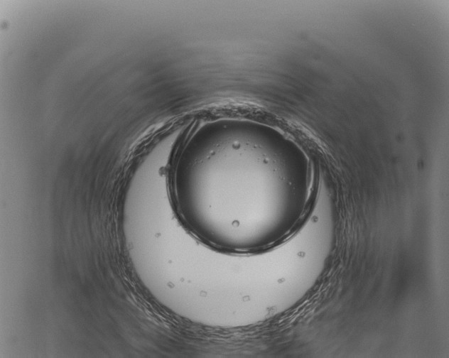 X0000064770824200602131314