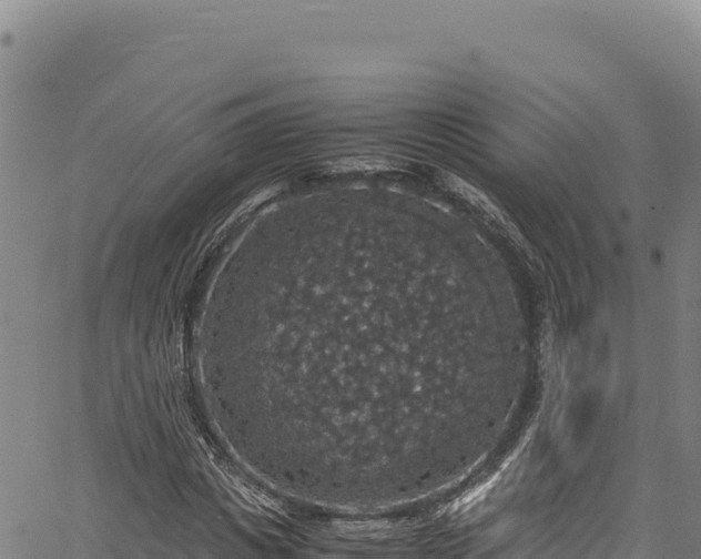 X0000064770825200602131314