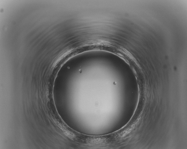 X0000064770826200602131314