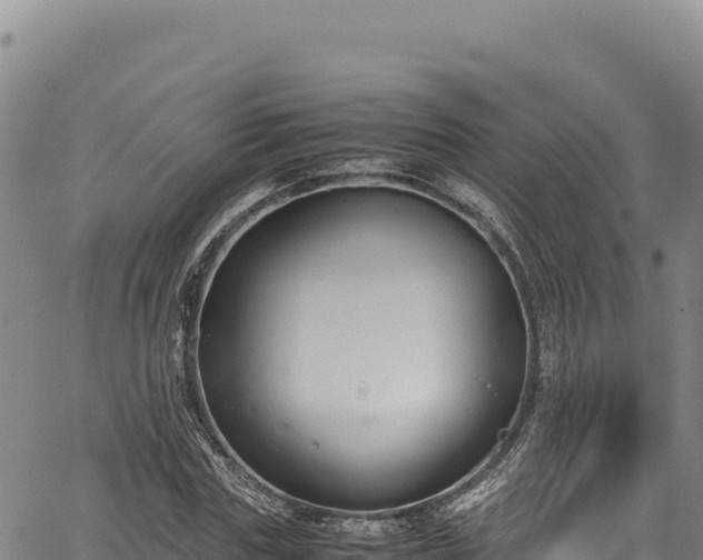 X0000064770827200602131314