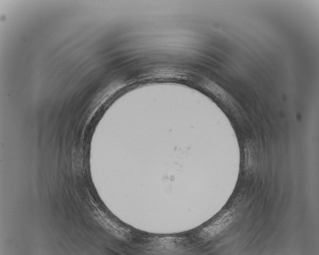 X0000064770828200602131314