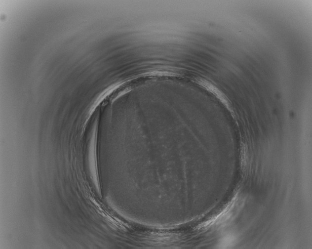 X0000064770829200602131314