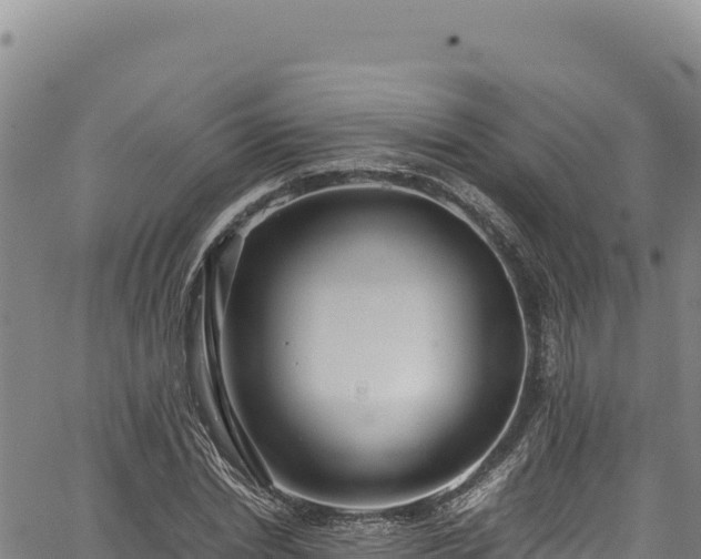 X0000064770830200602131314