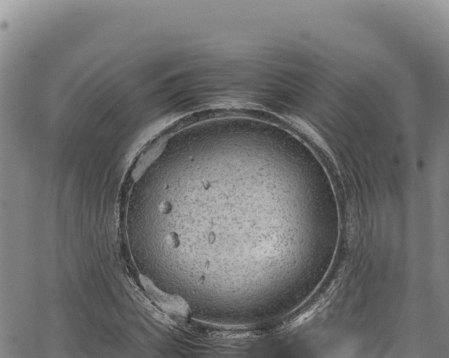 X0000064770831200602131314