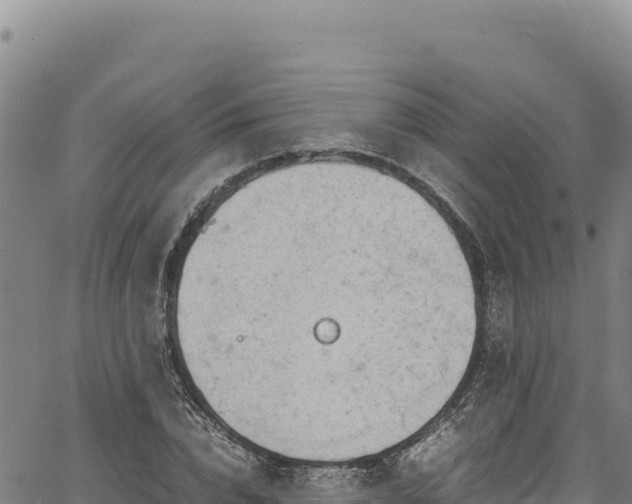 X0000064770832200602131314